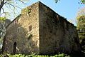 Castell Coll (Olot)