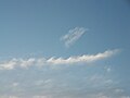 Хвилястий різновид перисто-купчастих хмар