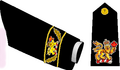 海軍用最高司令官階級章