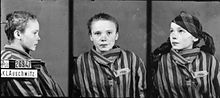 Czeslawa Kwoka -one of many Polish children murdered in Auschwitz by the Nazis Czeslawa Kwoka - Brasse.jpg