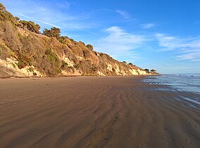 Пляж штата Эль-Капитан beachview.jpg