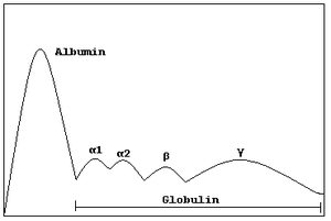 Electrophoresis.png