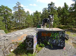 Stora backens tornfundament, 2016.