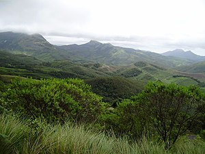 Национальный парк Эравикулам, Муннар - Panoramio (1) .jpg