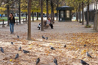 Vue du square avec un kiosque.