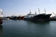 Fishing Fleet at Fraserburgh.jpg