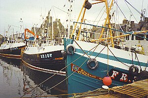 Scottish fishing boats moored in Fraserburgh. Fraserburgh Harbour.jpg