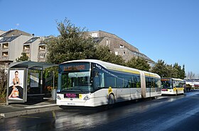 Image illustrative de l’article Autobus de La Rochelle
