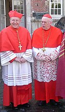 Kardinal Walter Kasper (kiri) dan Kardinal Godfried Danneels (kanan) memakai pakaian koir mereka: jubah berwarna merah, kain putih yang dipotong dengan renda, mozetta merah, biretta merah (di atas zucchetto merah), dan salib dada pada tali pintal.