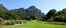 Miniatura para Kirstenbosch