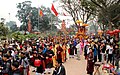 Ceremonial procession of Thành hoàng in Bình Đà village.