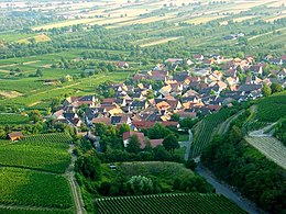 Sasbach am Kaiserstuhl – Veduta