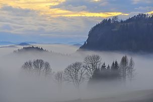 Mer de nuages près de Liebenfels, en Carinthie autrichienne. (définition réelle 4 256 × 2 832)