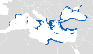 Influenţa grecilor antici la mijlocul secolului al VI-lea î.Hr.