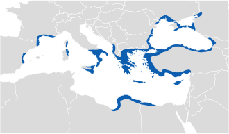 The ancient Greek world, c. 550 BC Location greek ancient.svg