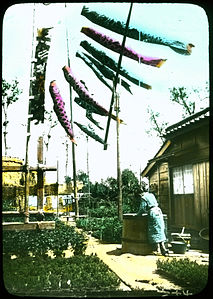 Man working over large wooden tub; rows of plants in pots all around; fish streamers flying overhead