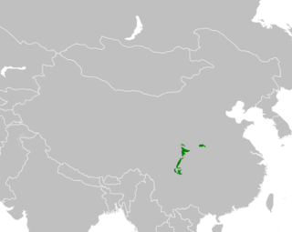 A espécie está distribuída em seis regiões montanhosas da China.