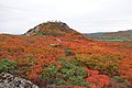 紅葉の三ツ石山山頂