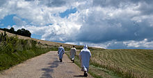 Trois moines chartreux de dos marchent sur une route goudronnée, entre deux champs fauchés, et le ciel est bleu et nuageux au troisième plan.