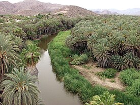 Oasis de Santa Rosalía de Mulegé