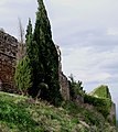 Stadtmauer von Campagnatico