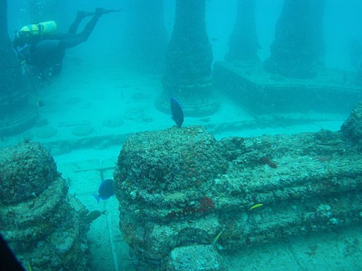 Neptune memorial reef 10