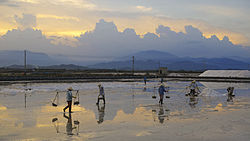 Salt production near Ninh Hòa