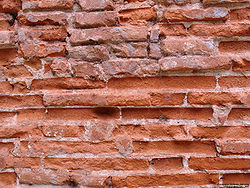 Old brick wall.jpg