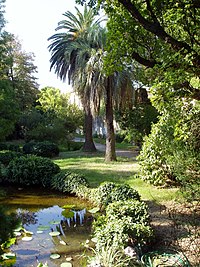 Botanic Garden on Pisa Operated By The University Of Pisa   The First Botanic Garden