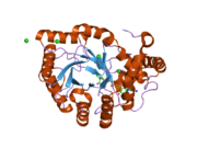 1zsx: Crystal Structure Of Human Potassium Channel Kv Beta-subunit (KCNAB2)