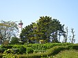 Le phare de Ouistreham vu de la rue Marthe Janvier, derrière un rideau d'arbres.