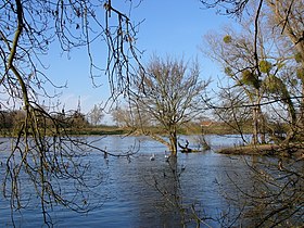 Loiret’n ja Loiren yhtymäkohta, Pointe de Courpain, Saint-Pryvé-Saint-Mesminissä