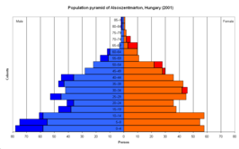 Bevolkingspyramide van Alsószentmárton