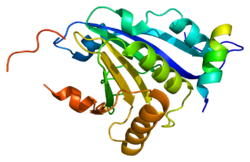 Protein EIF4E2 PDB 2jgb.png