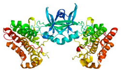 Protein TEK PDB 1fvr.png