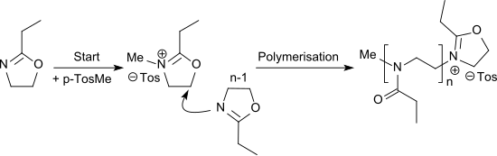 Start der POx-Polymerisation mit Methyltosylat