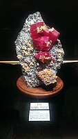 O espécime de Alma Rose da mina Sweet Home Mine de Colorado, EUA. Localizado no Rice Northwest Museum of Rocks and Minerals em Hillsboro, OR.