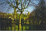 The Necropolis, Glasgow. - geograph.org.uk - 108974.jpg