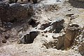Tombe puniche a pozzo nel parco delle Terme di Antonino a Cartagine