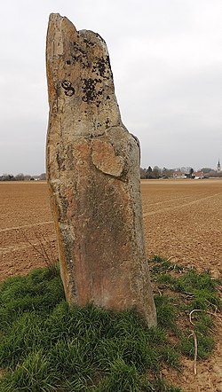 Image illustrative de l’article Menhir de la Croix Saint-Jacques