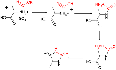 Urech Hydantoin synthesis