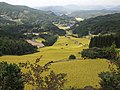 蕨野（佐賀県唐津市）