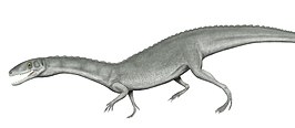 Yarasuchus