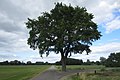 Miniatuurafbeelding voor de versie van 4 jul 2019 00:49