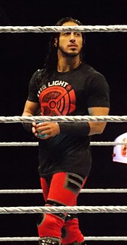 Miniatura Mustafa Ali