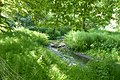 Roodkloosterbeek: la partie marécageuse le long du Chemin des Etangs-Vijversweg