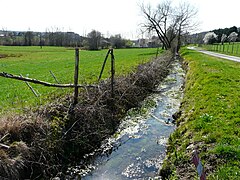 Le bras supérieur du Boulou à Saint-Crépin-de-Richemont, près du lieu-dit les Brageaux.