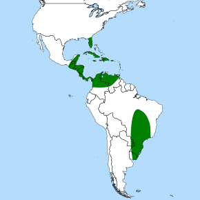 Description de l'image Catopsis distribution.svg.