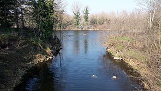 Confluence Furan-Loire.