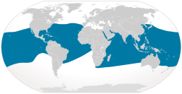 Мапа поширення представників роду